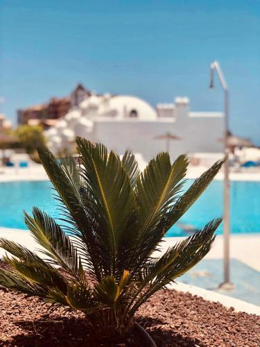 Apartamento Adeje Paradise