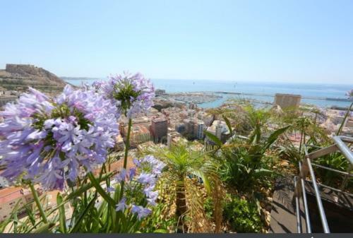 Apartamentos Alicante Balc�n Al Mar Apts - Downtown&beach