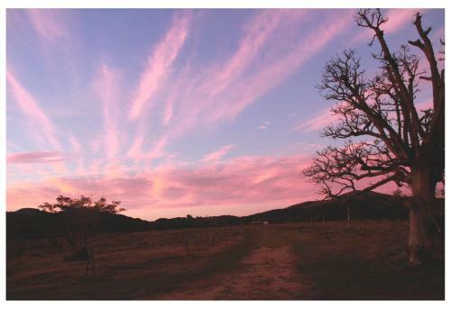 Bed & Breakfast Posada El Campo