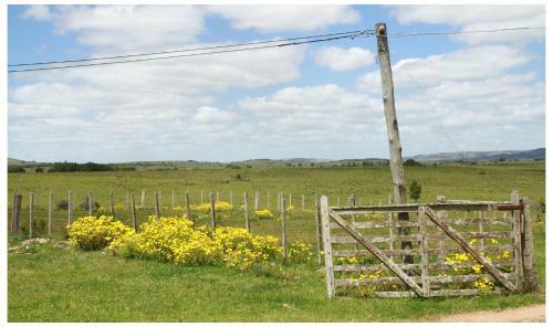 Bed & Breakfast Posada El Campo