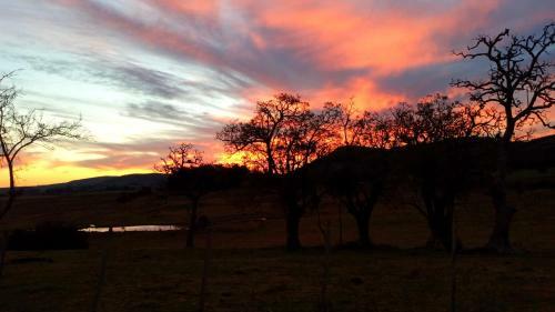 Bed & Breakfast Posada El Campo