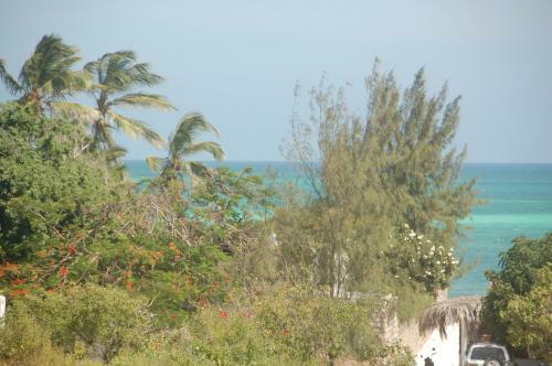 Brow Eagle Beach Villa, Watamu