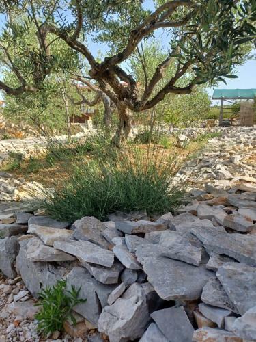Agroturismo Robinzonski Smje?taj Tiha Draga