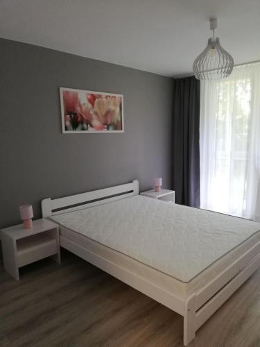 Apartamenty Agpa1