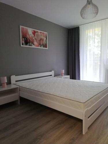 Apartamenty Agpa1