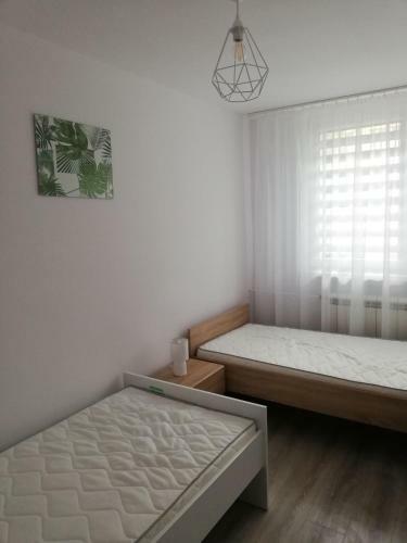 Apartamenty Agpa1