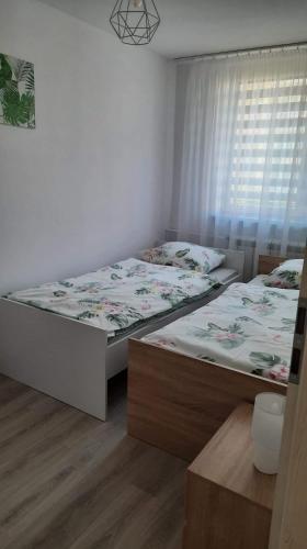 Apartamenty Agpa1