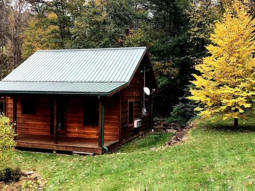 Cozy Cabin Surrounded By Streams
