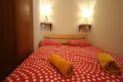 Acacia Hostel