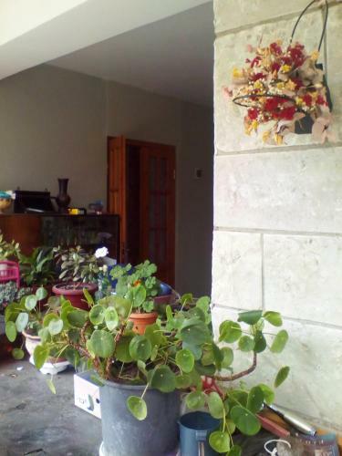 Hostal Kapana