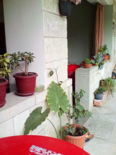Hostal Kapana