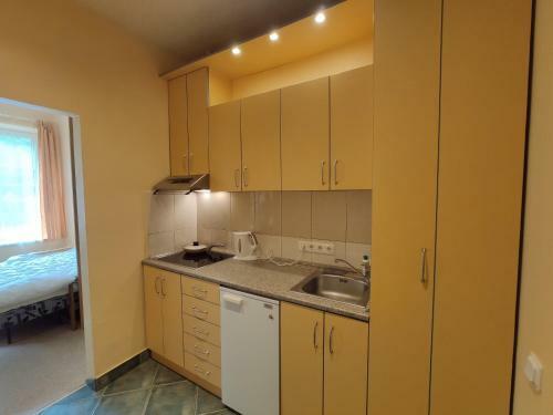 First Hotel's Apartment