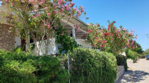Apartamento Stina