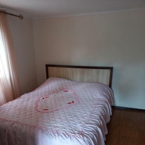 Hostal Guest House U Svety