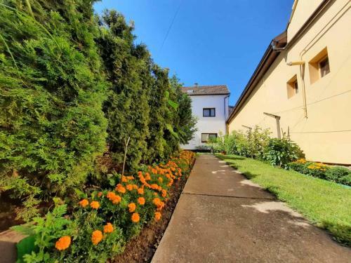 Apartmani Sunflower