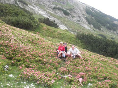 Apartamento Haus Sommerstein