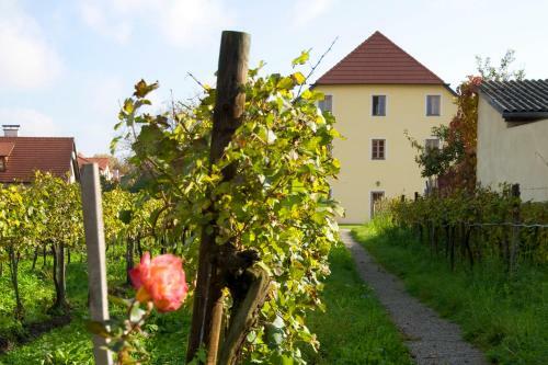 Ad Vineas G�stehaus Nikolaihof-hotel Garni