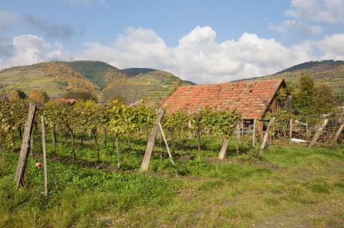 Ad Vineas G�stehaus Nikolaihof-hotel Garni