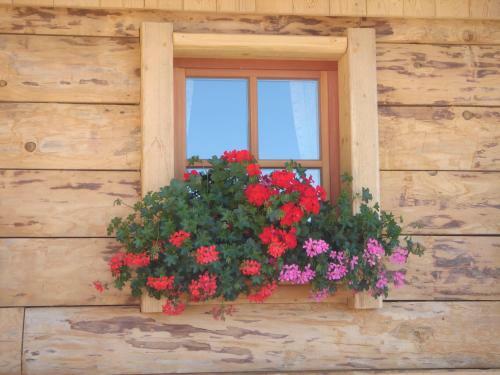 Hostal Haus Sonnleitn