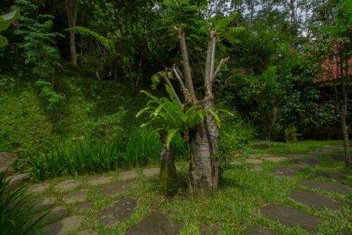 Posada Sebatu Tulen Villa