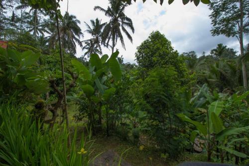 Posada Sebatu Tulen Villa