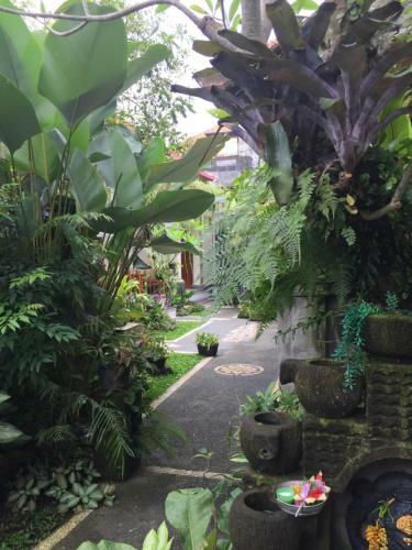 Blima Bali