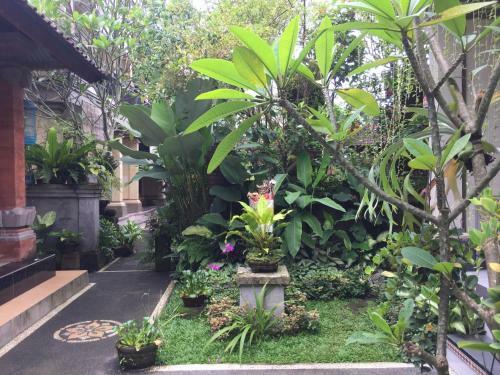 Blima Bali