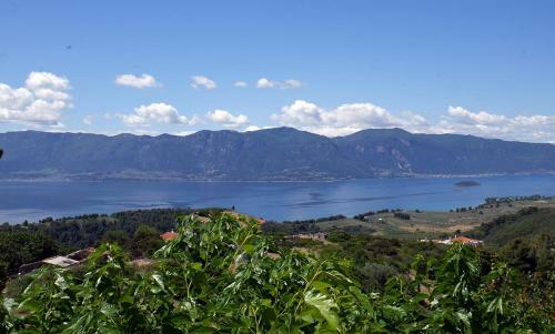 Luxurius Vila Lichada
