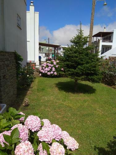 Apartamento Ampeloessa