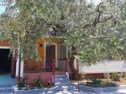 Apartman Dea