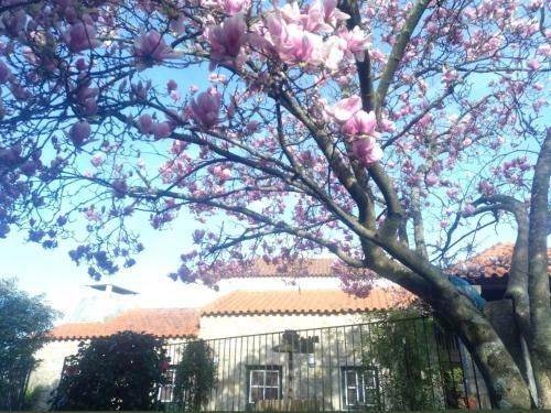 S�o Braz Terrace