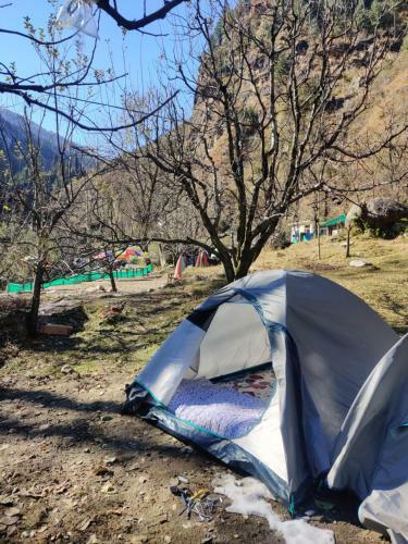 Last Stop Cafe & Camps