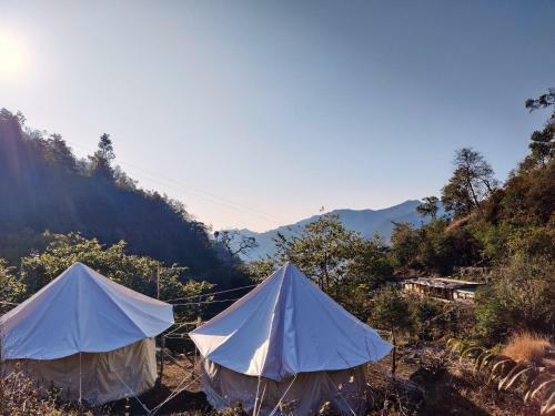 Tribe Aqua A Nature Retreat Above Neer Waterfall