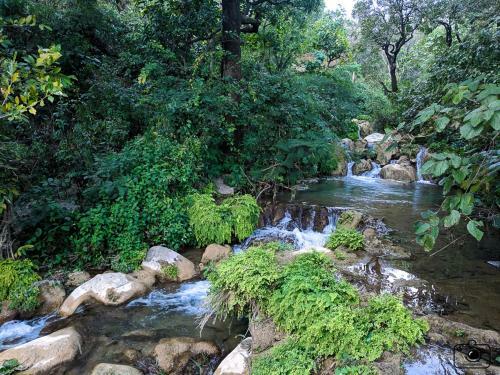 Tribe Aqua A Nature Retreat Above Neer Waterfall