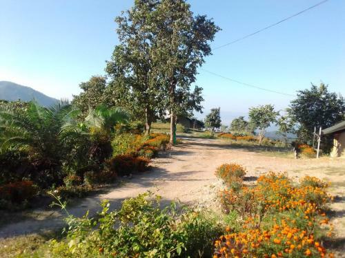 Mountain Whisper, Most Unique Location In Rishikesh