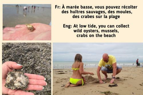 "le Vieux Nid"