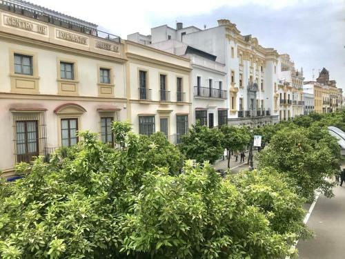 Apartamento D�plex Calle Larga