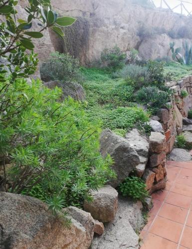 Apartamento Oasigl�