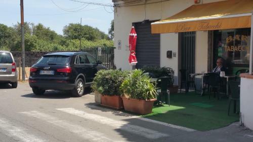 Apartamento Tulipano 7