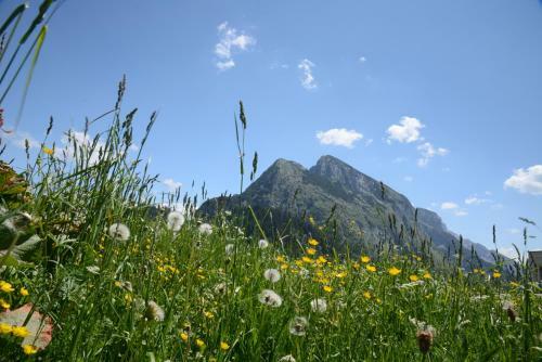 Hostal Pension Alpenblick