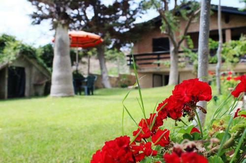 Casa Vacanze La Baita