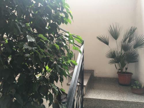 Apartamento Casa Rosa San Vito A 30 Km Da Villasimius