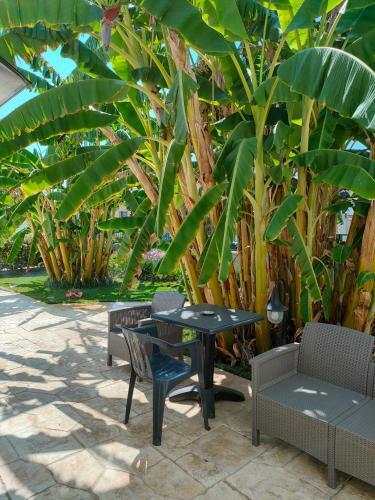 Bed & Breakfast Il Negramaro