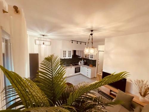 Envy Valamar Apartment
