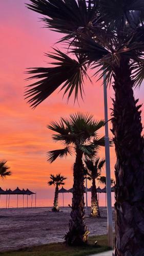 Envy Valamar Apartment