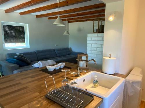 Apartma Kolpa-riverhouse Podzemelj