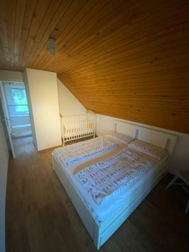Apartma Kolpa-riverhouse Podzemelj