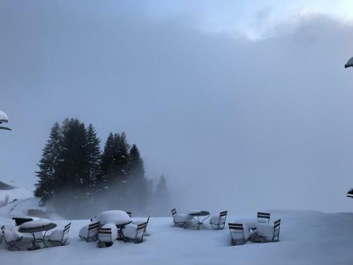Hotel Alpina