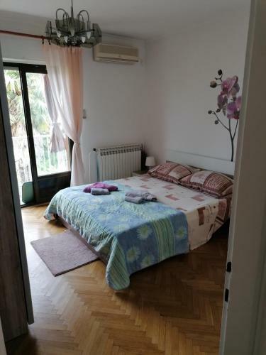 New Apartman Ziganto Z