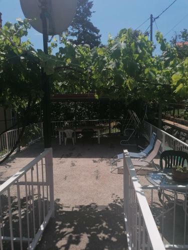New Apartman Ziganto Z